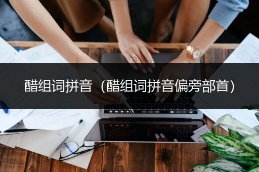 醋组词拼音（醋组词拼音偏旁部首）
